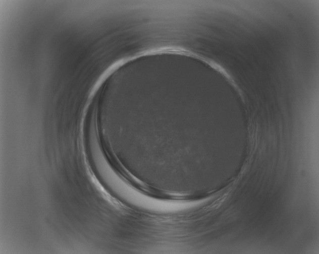 X0000081361422200701111509