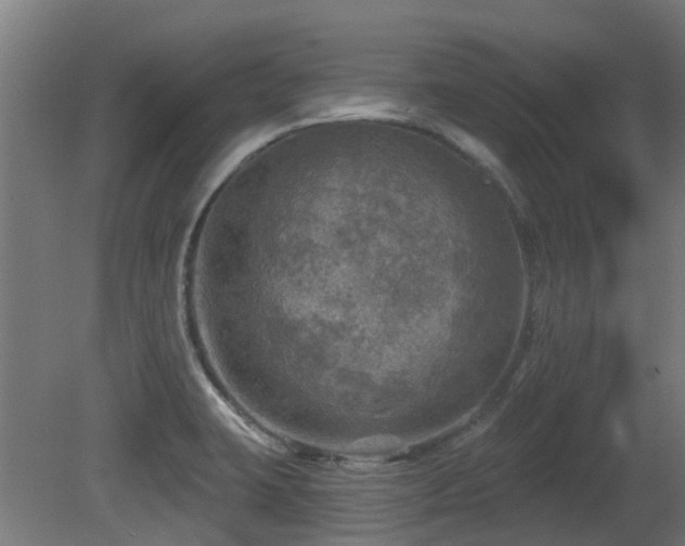 X0000081361423200701111509