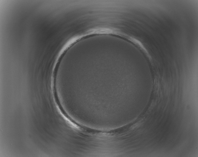 X0000081361424200701111509