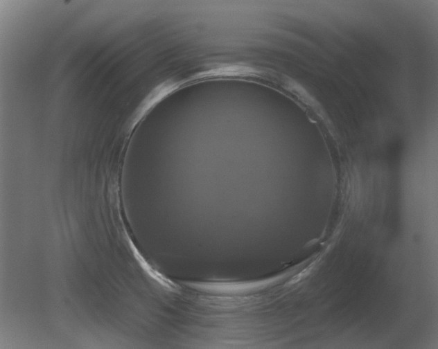 X0000081361425200701111509