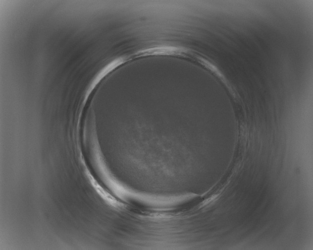 X0000081361426200701111509
