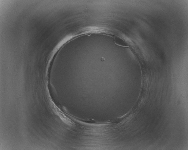 X0000081361427200701111509