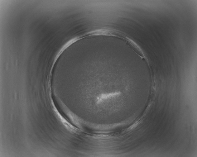X0000081361434200701111510
