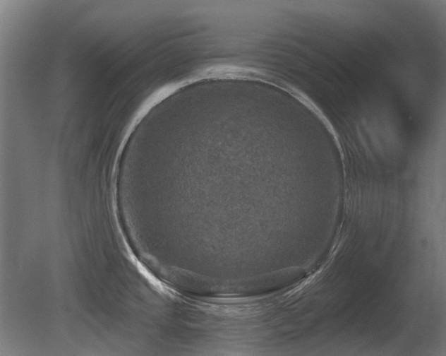 X0000081361437200701111510