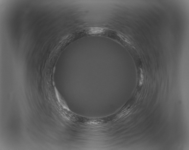 X0000081361441200701111509