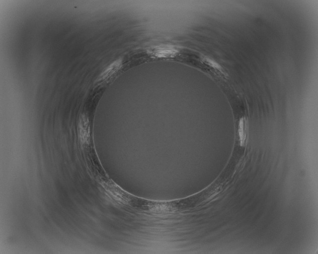 X0000081361443200701111509