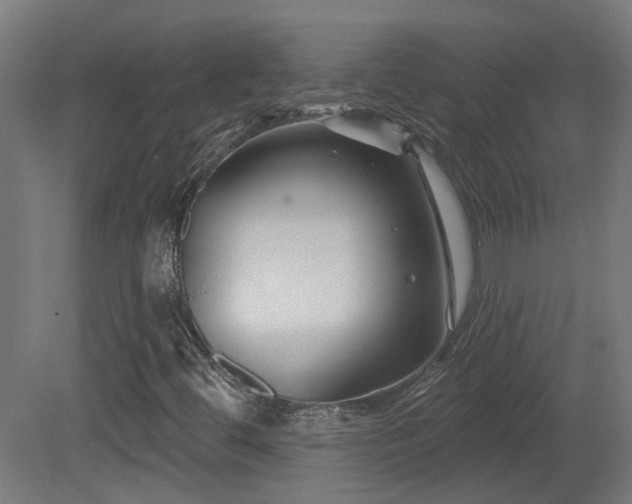 X0000081361444200701111509