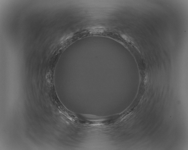 X0000081361445200701111509