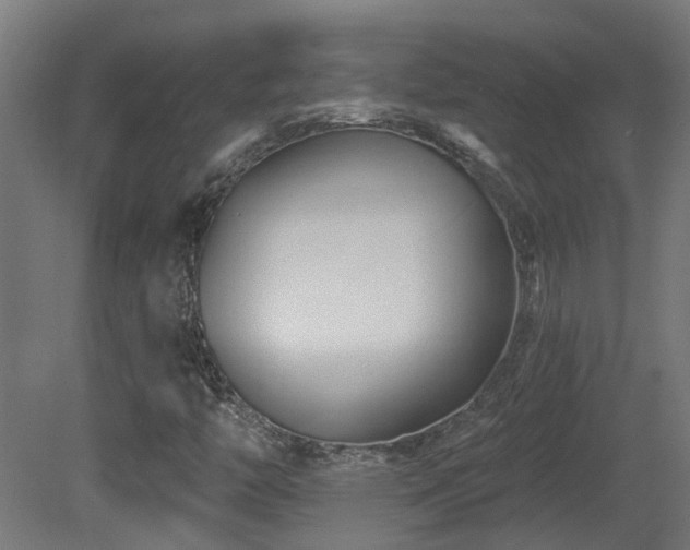 X0000081361446200701111509