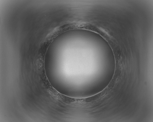 X0000081361447200701111509