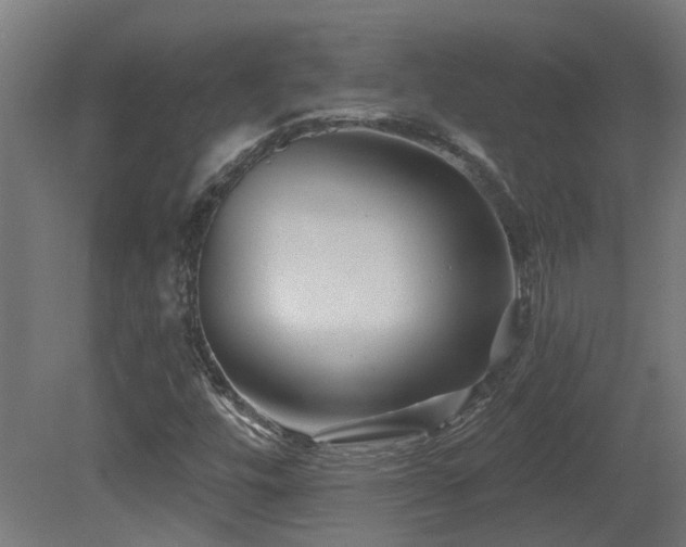 X0000081361448200701111509