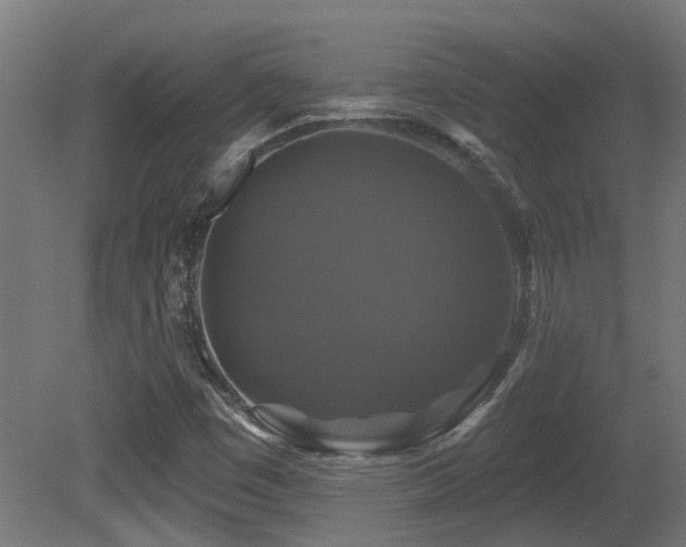 X0000081361449200701111509