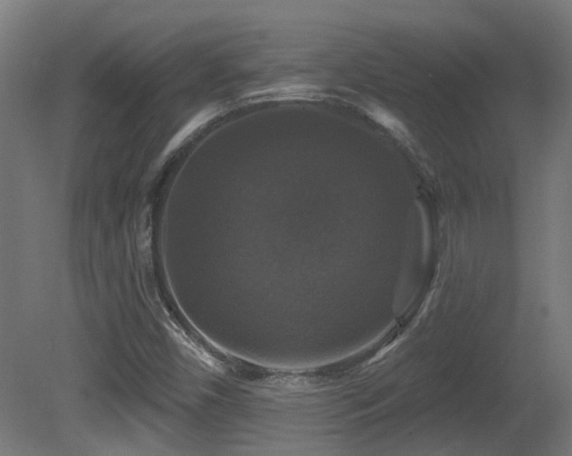 X0000081361450200701111509