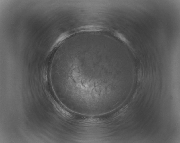 X0000081361451200701111509