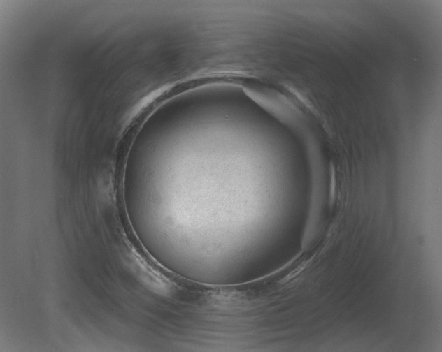 X0000081361452200701111509