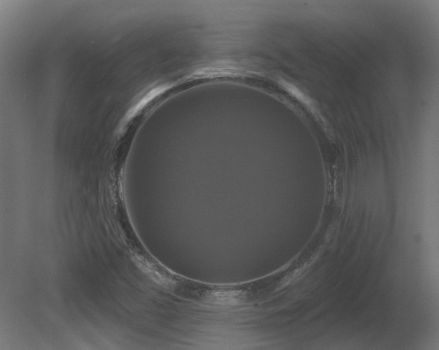 X0000081361453200701111509