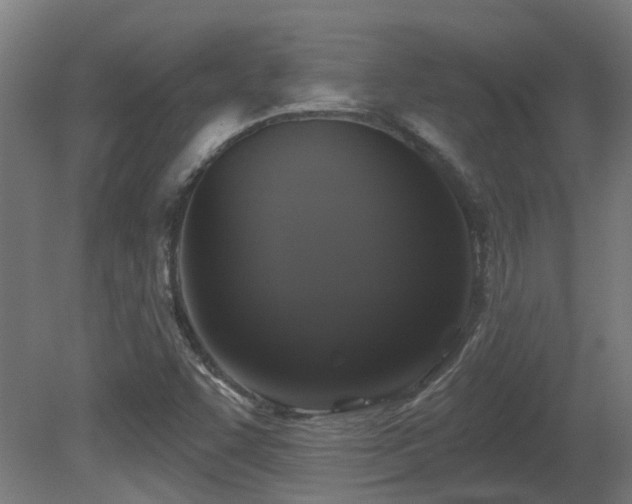 X0000081361455200701111509