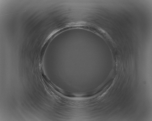 X0000081361457200701111509