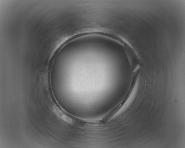 X0000081361460200701111508