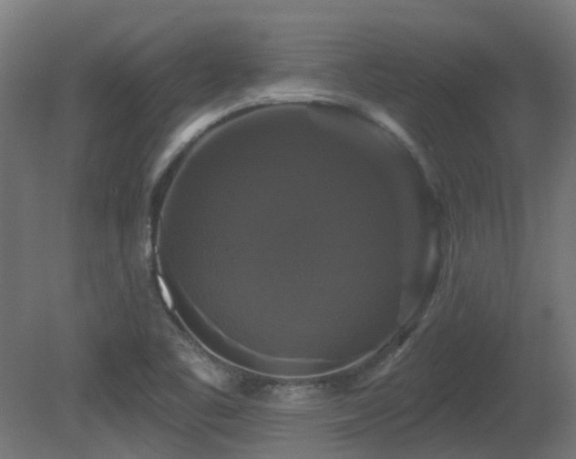 X0000081361461200701111508