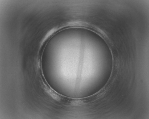 X0000081361462200701111508