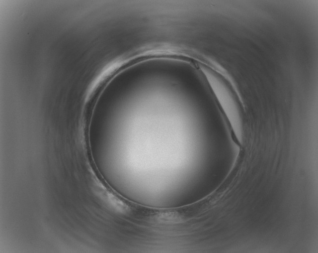 X0000081361464200701111508