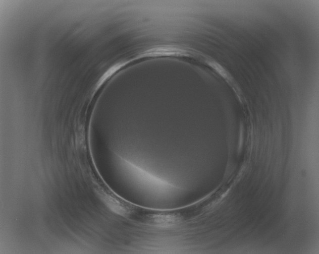 X0000081361465200701111508