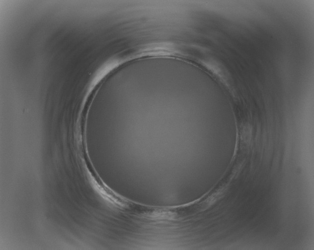 X0000081361466200701111508