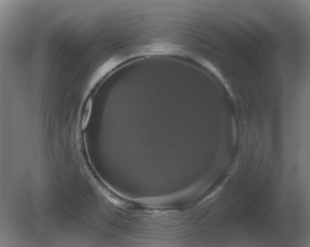 X0000081361469200701111508