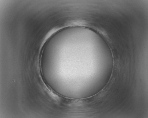 X0000081361470200701111508