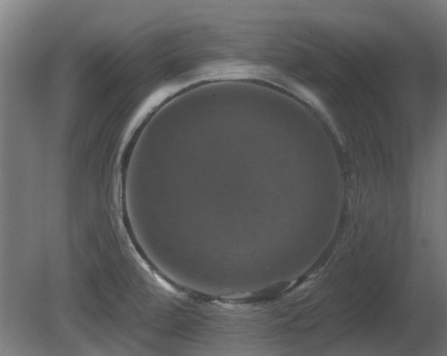 X0000081361472200701111508