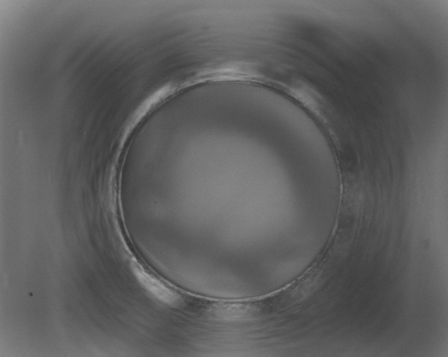 X0000081361474200701111508