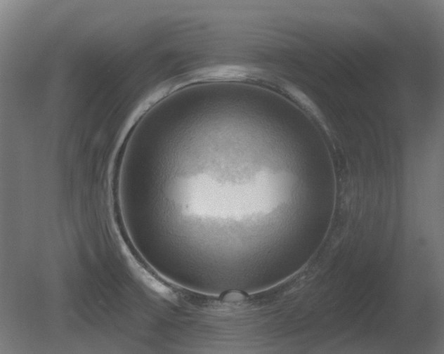 X0000081361475200701111508