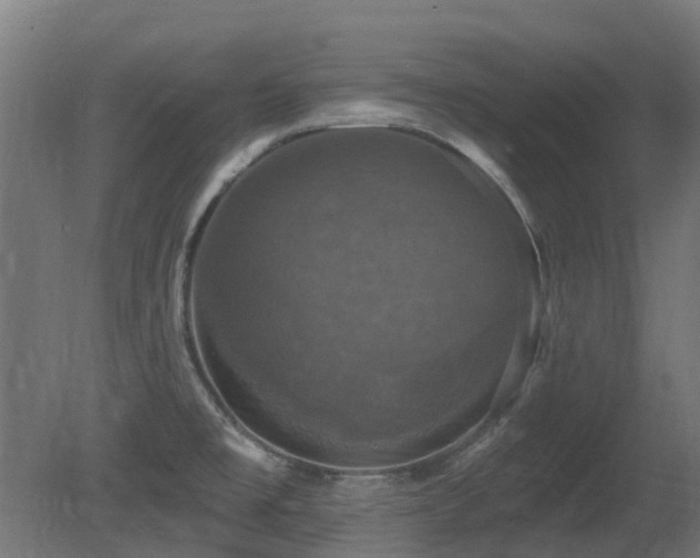 X0000081361477200701111508