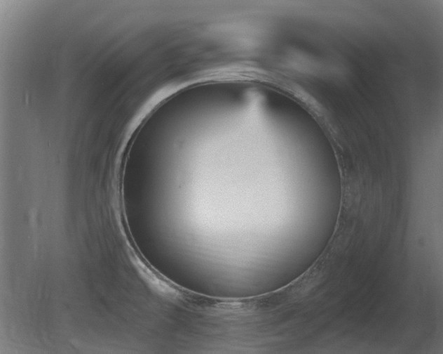 X0000081361478200701111508
