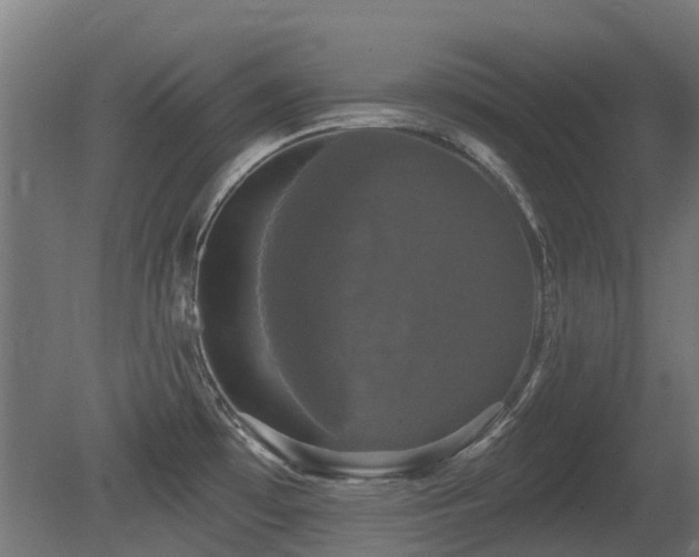 X0000081361481200701111508