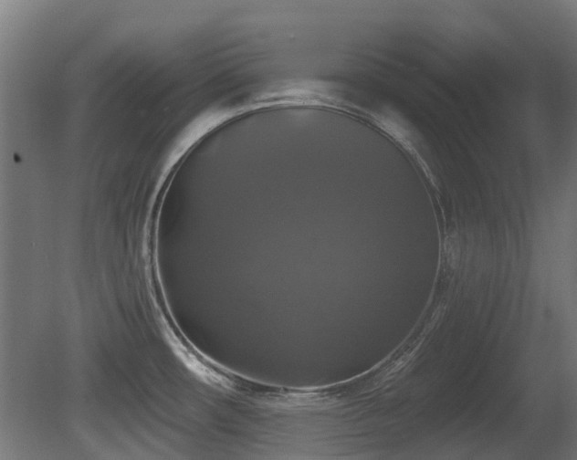 X0000081361482200701111508