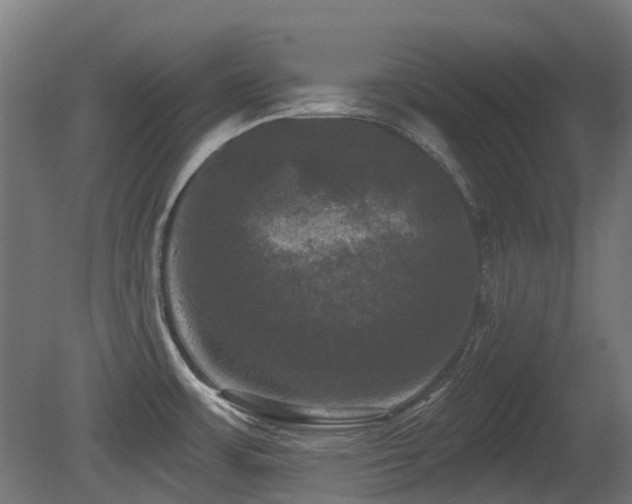 X0000081361483200701111508