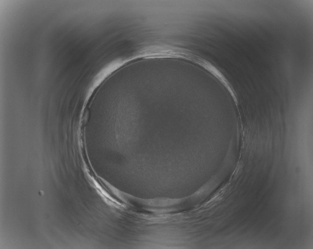 X0000081361485200701111508