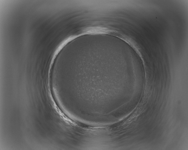 X0000081361488200701111508