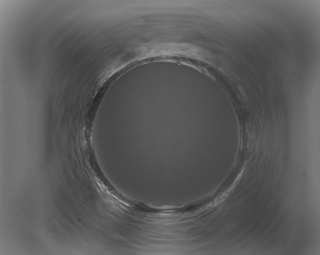 X0000081361497200701111507