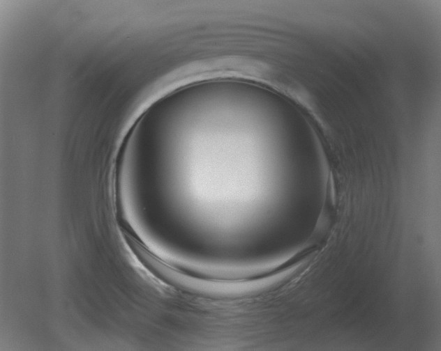 X0000081361516200701111508
