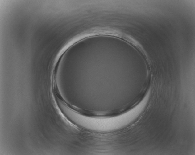 X0000081361520200701111508