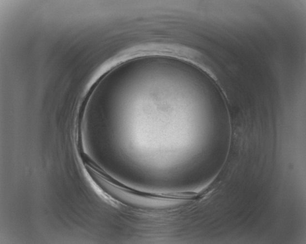 X0000081361523200701111508
