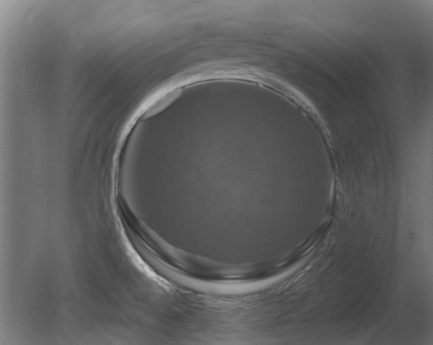 X0000081361528200701111508
