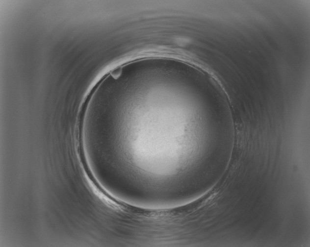 X0000081361531200701111508