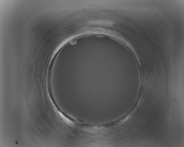 X0000081361533200701111508