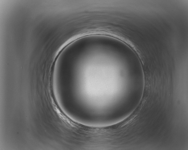 X0000081361534200701111508