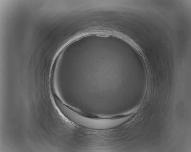 X0000081361536200701111508