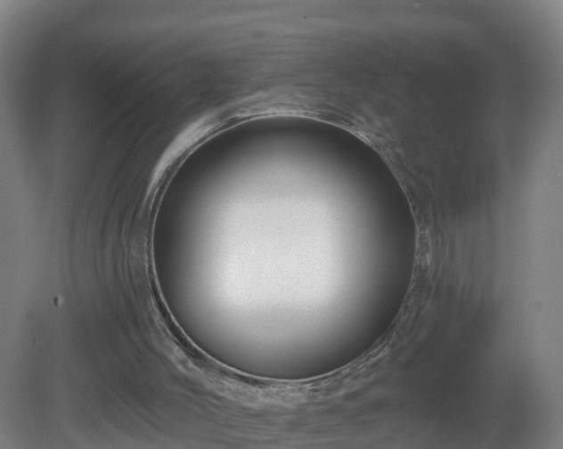 X0000081360004200701182125